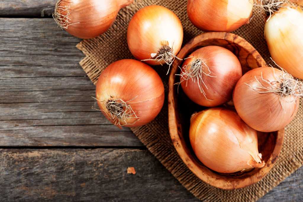 Onion Profile - Fuchs North America