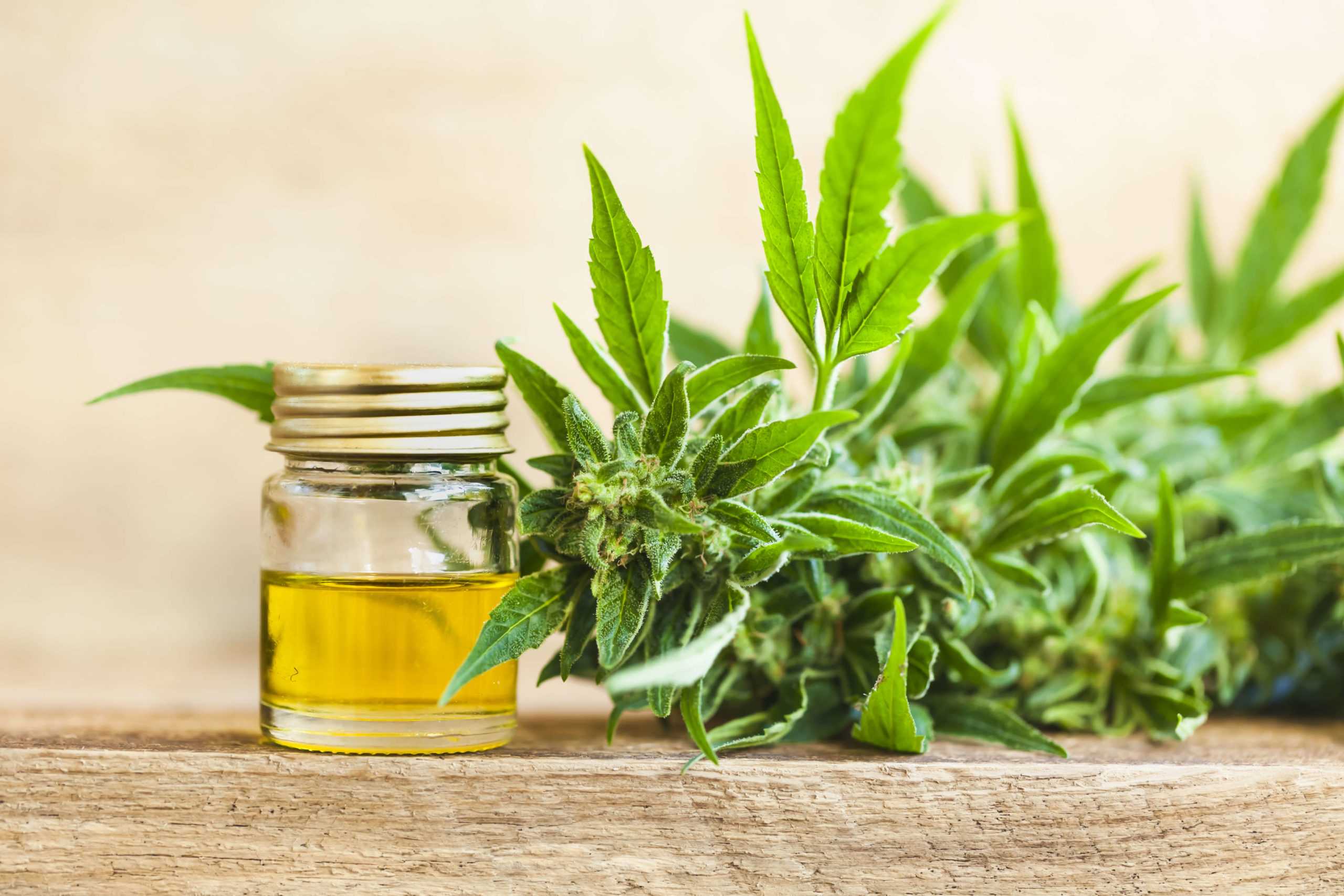 CBD: The Trends Behind the Trend