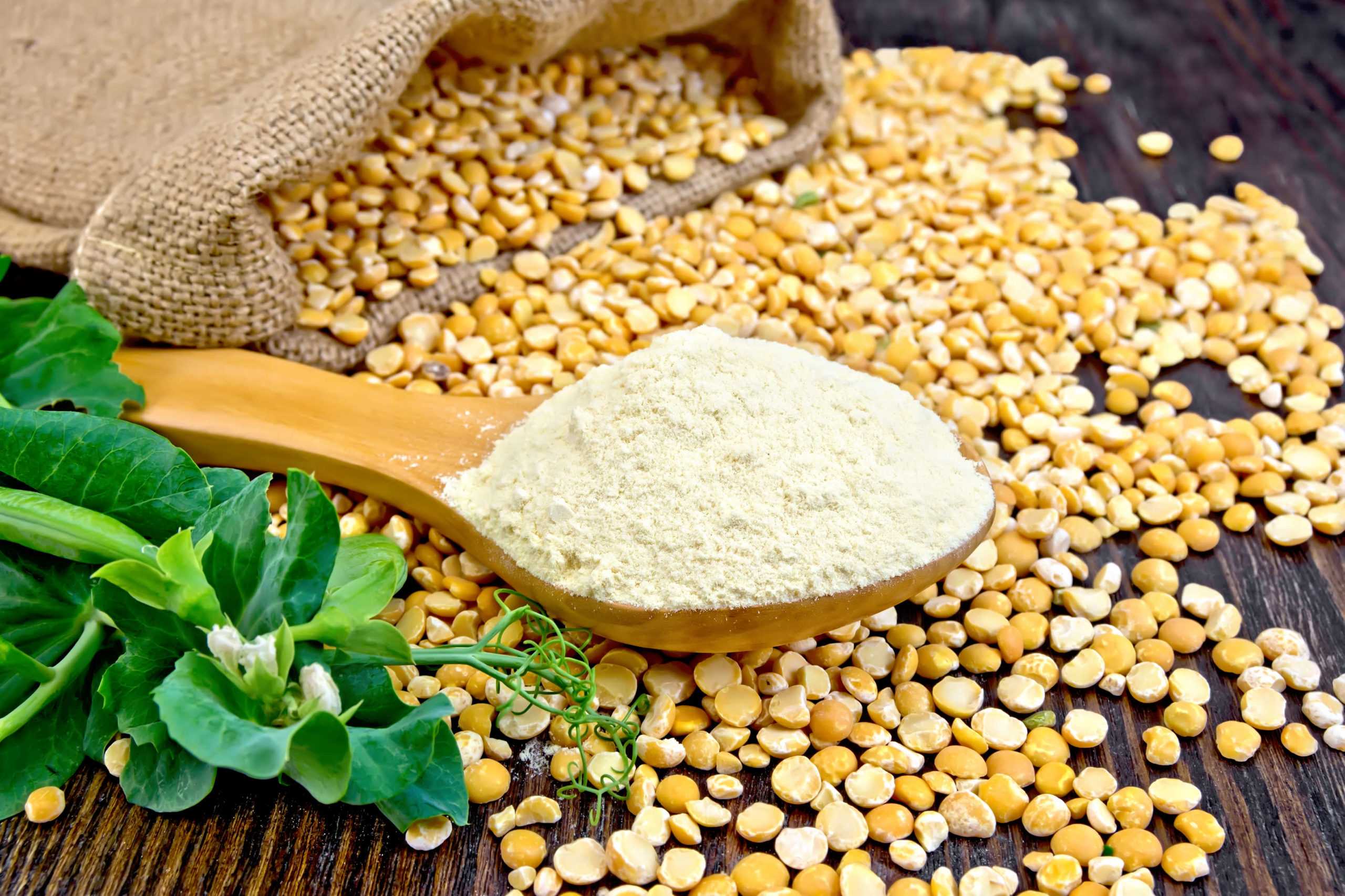 Growth of Plant-Based Proteins: Soybean and Pea Protein