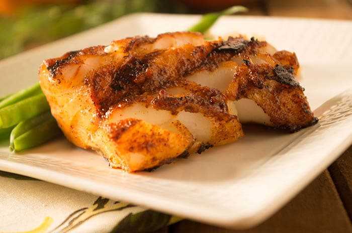 Tropical Cod